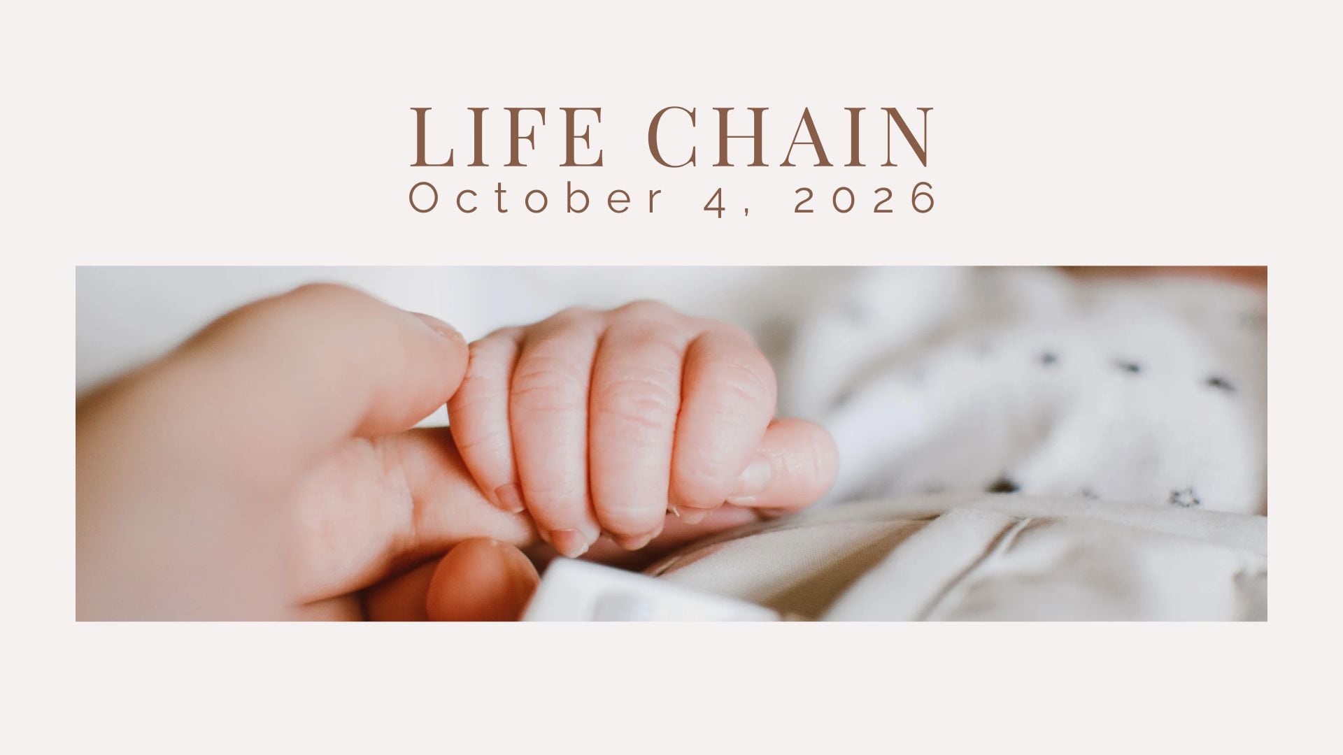 LifeChain 2026