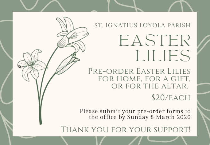 Easter Lilies 2026 Easter Lilies 2026